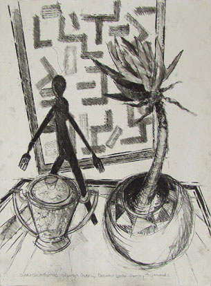 Aloe Dichotonia – Silverton Pretoria Charcoal on Paper 560 x 760